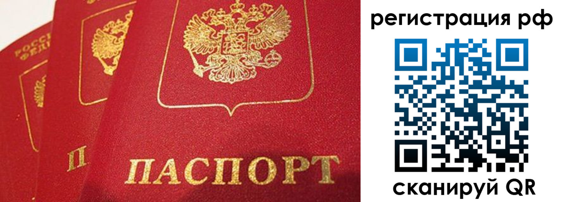 прописка поиск в Ермолино